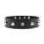 obroża Collare Spikes Collar black