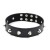 obroża Collare Spikes Collar black