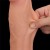 dildo 11.5'' King Sized Sliding Skin Dual Layer Dong