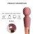 wibrator wand Blush Pulse