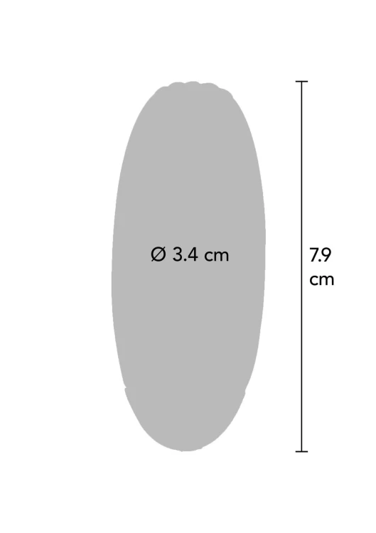 jajeczko Funky Remote