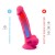 dildo SilexD