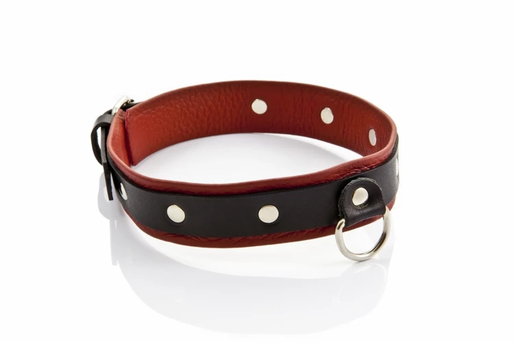 obroża damska WHIPS