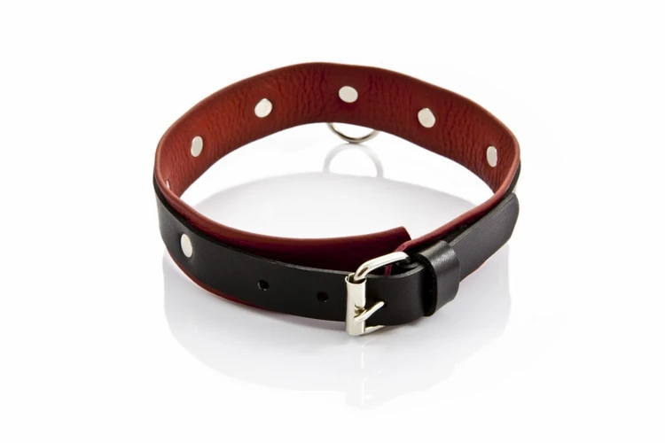 obroża damska WHIPS