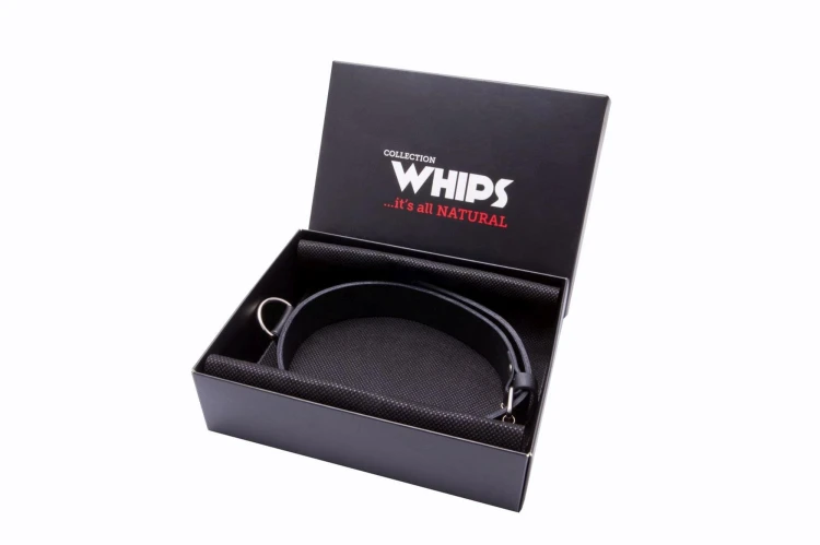 obroża męska wąska WHIPS