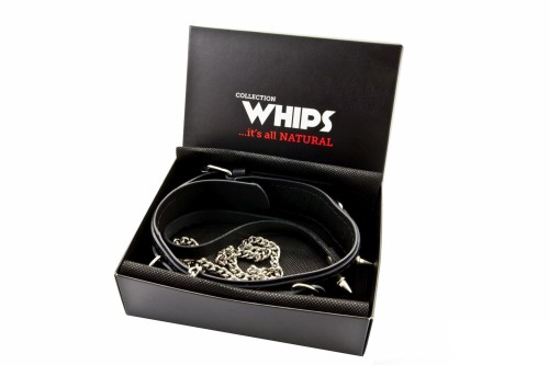 obroża męska WHIPS