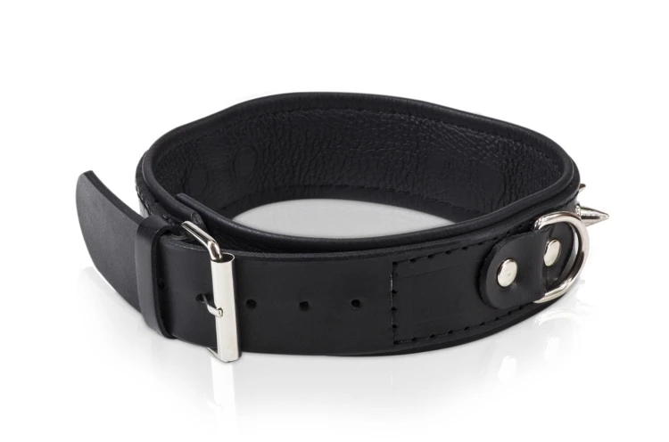 obroża męska WHIPS