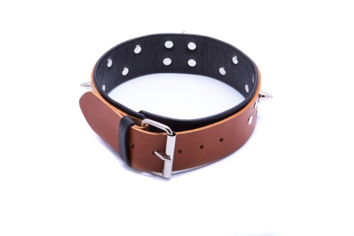 obroża męska WHIPS