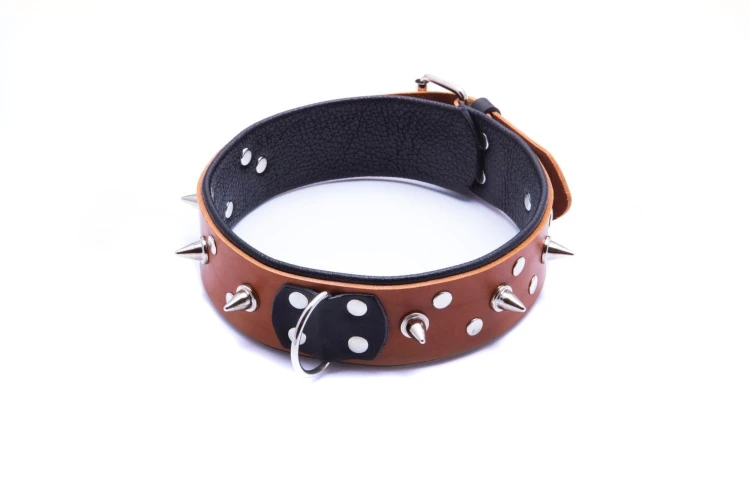 obroża męska WHIPS