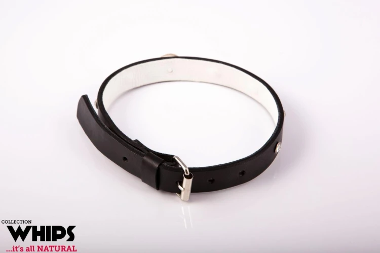 obroża damska  WHIPS