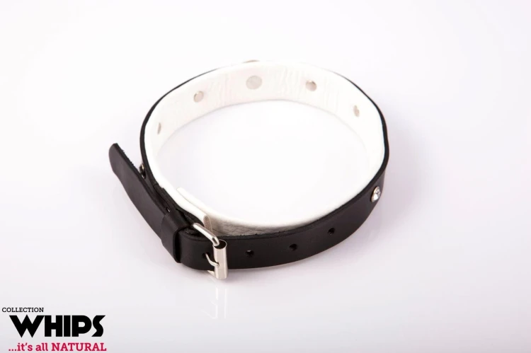 obroża damska WHIPS