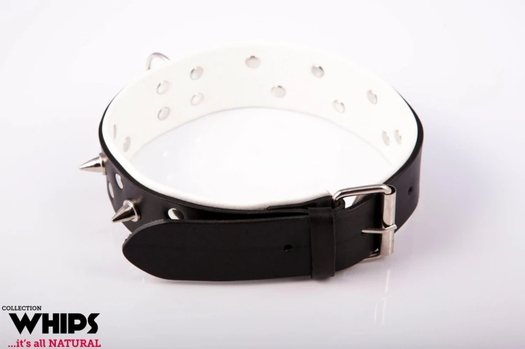 obroża męska WHIPS