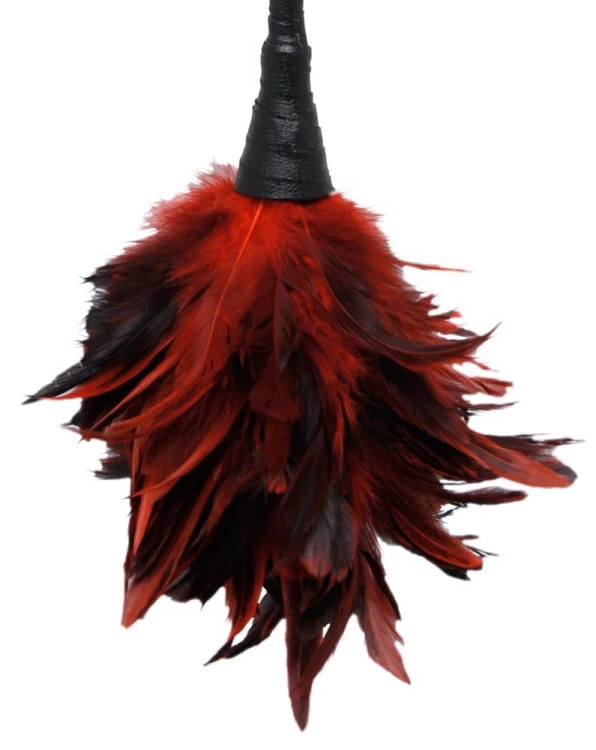 piórko FFS Frisky Feather Duster