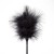 piórko FEATHER TICKLER & WHIP