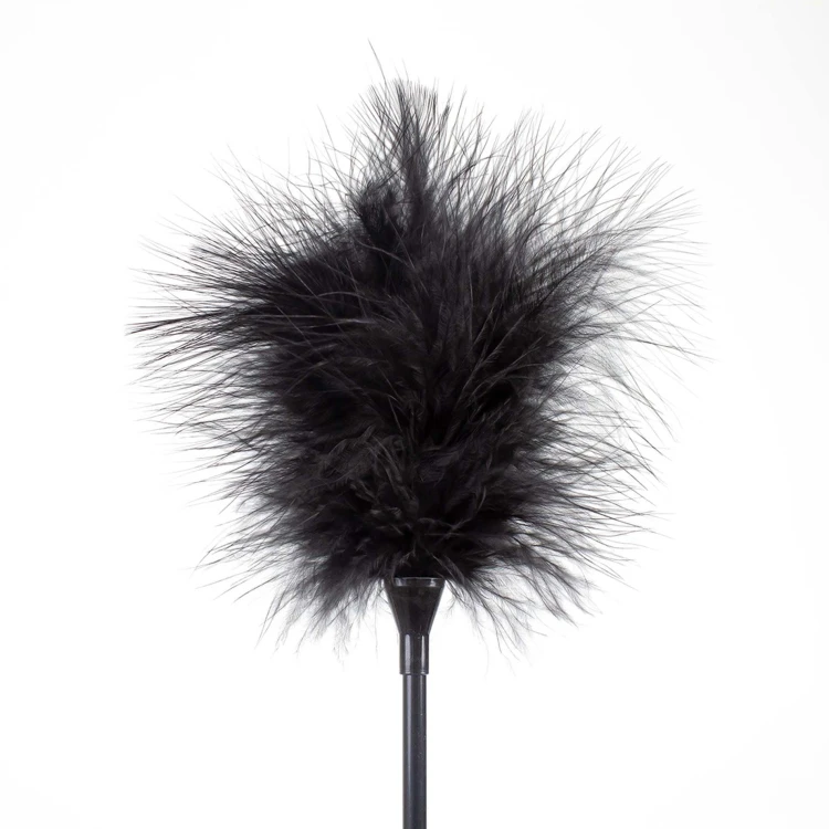 piórko FEATHER TICKLER & WHIP