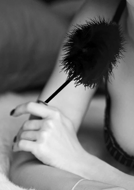 piórko Feather Tickler