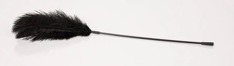 piórko Black feather Bad Kitty