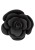 korek analny Rose