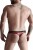 top i stringi RFP S