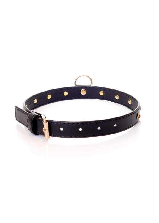 obroża Fetish B - Series Collar Gold Crystal