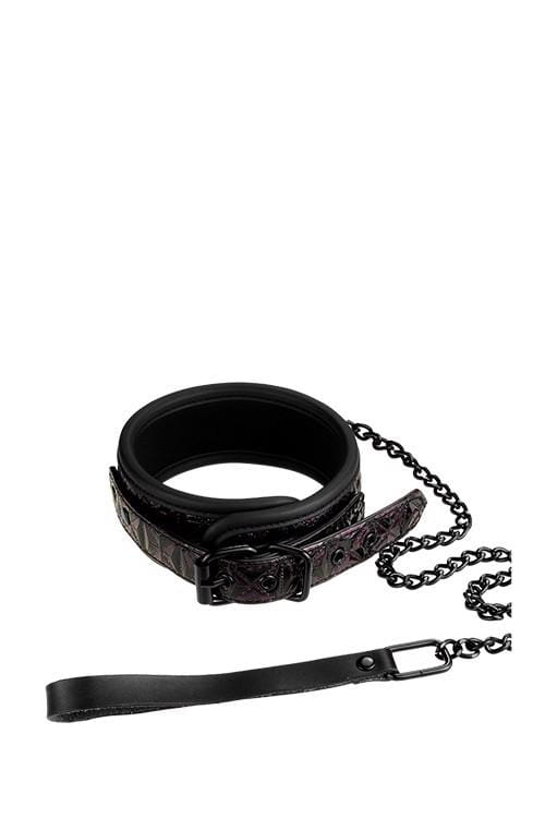 obroża BLAZE COLLAR AND LEASH PURPLE