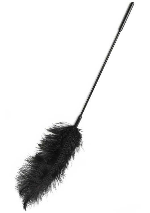 piórko Double Feather Tickler Black