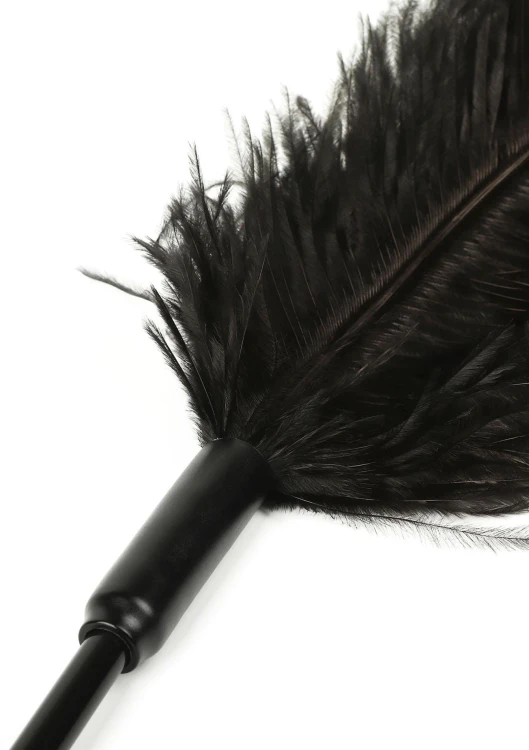 piórko Double Feather Tickler Black