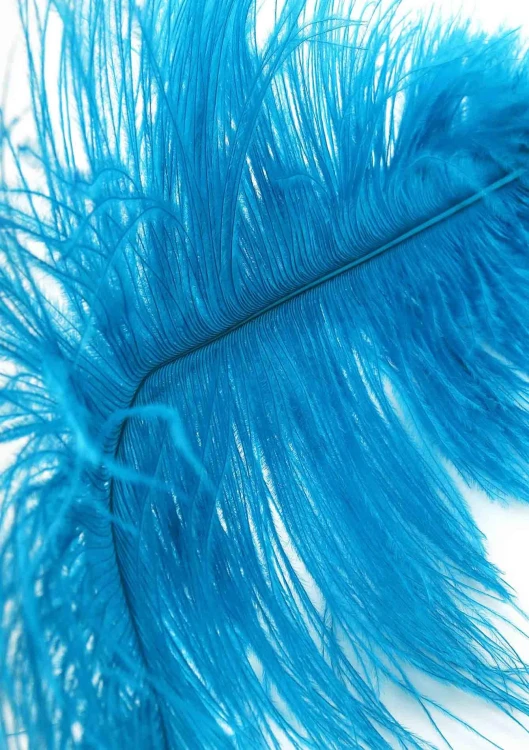 piórko Double Feather Tickler Blue