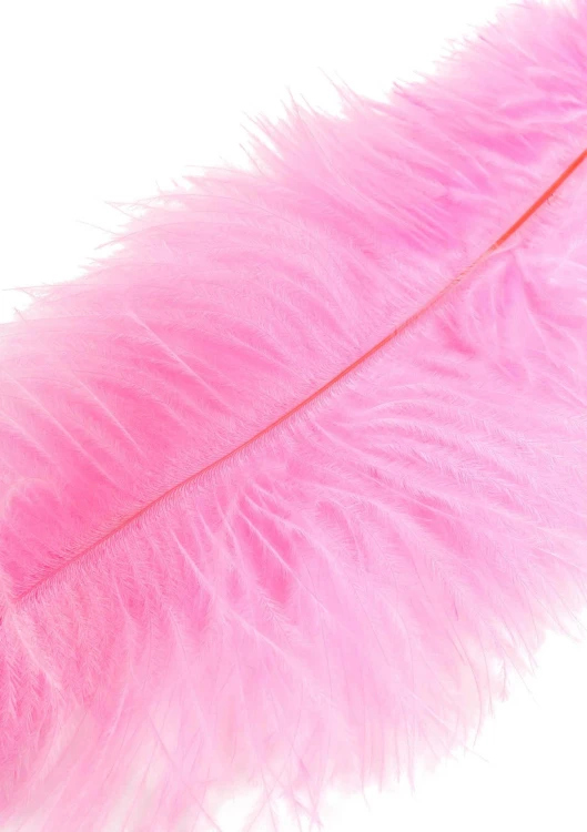 piórko Double Feather Tickler Pink