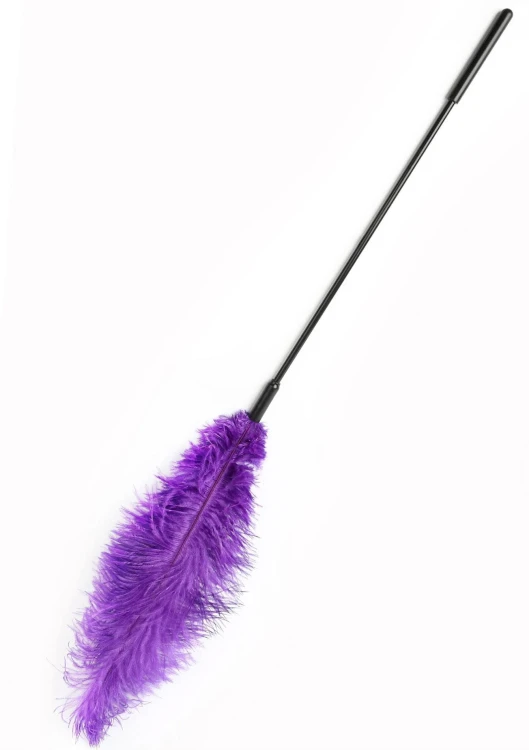 piórko Double Feather Tickler Purple