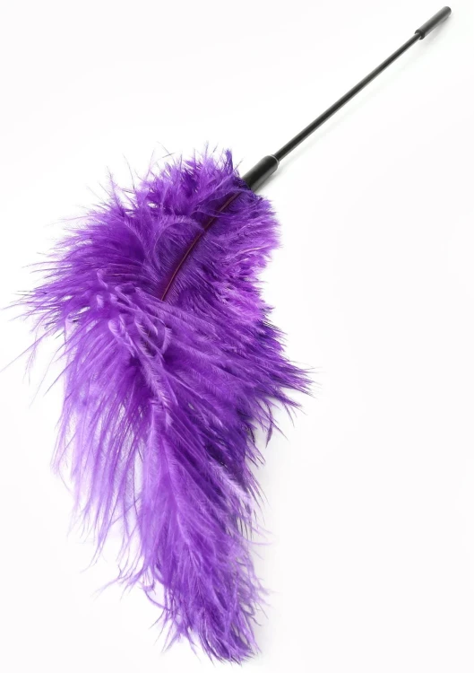 piórko Double Feather Tickler Purple