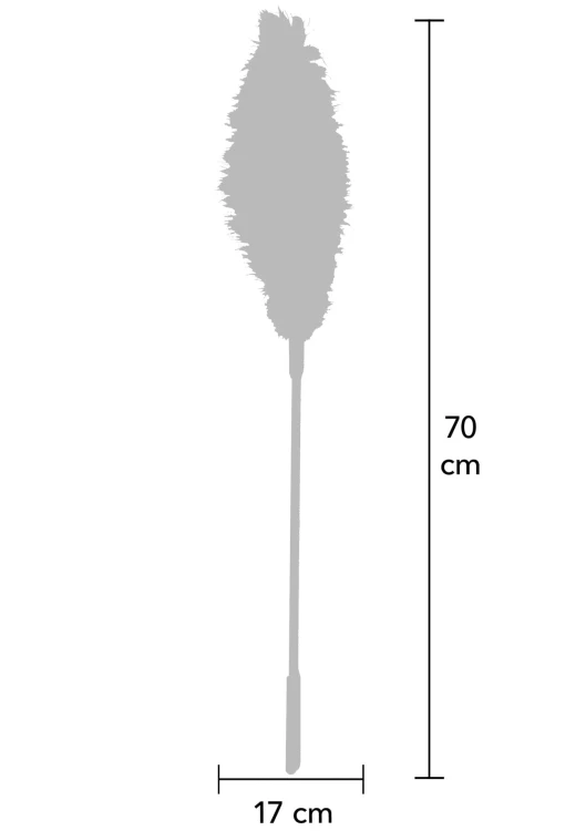 piórko Double Feather Tickler Red