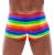 bokserki Men's Boxer Briefs Rainbow M