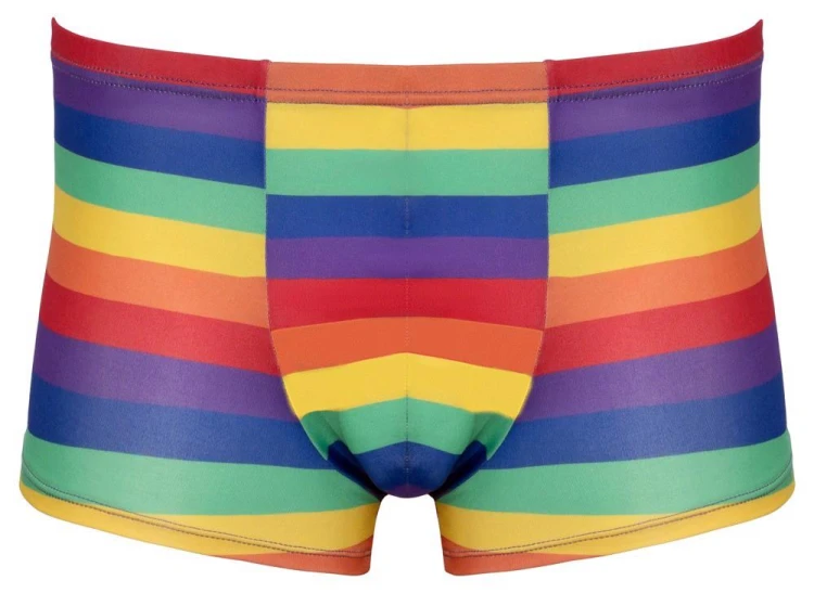 bokserki Men's Boxer Briefs Rainbow M