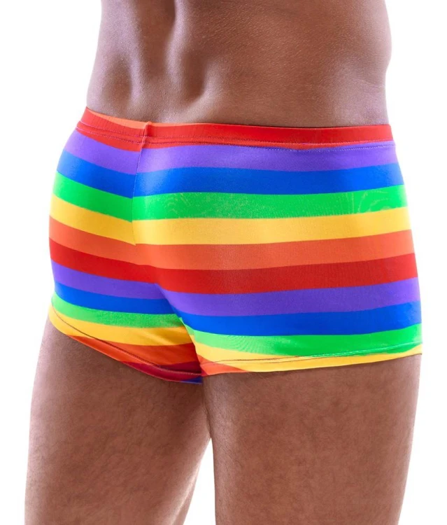 bokserki Men's Boxer Briefs Rainbow L