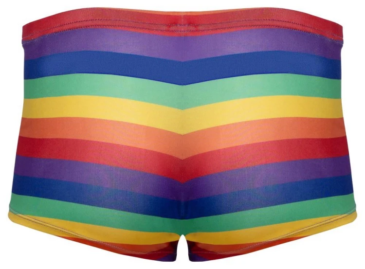 bokserki Men's Boxer Briefs Rainbow L