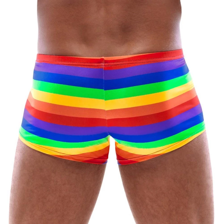 bokserki Men's Boxer Briefs Rainbow XL