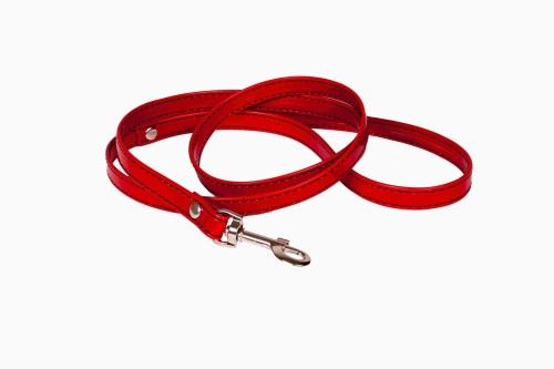 smycz WHIPS RED