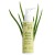 BIO-Aloe-Vera-Organic-Intimate-Gel-100-ml-Żel-intymny-aloesowy-dla-kobiet-mężczyzn.jpg
