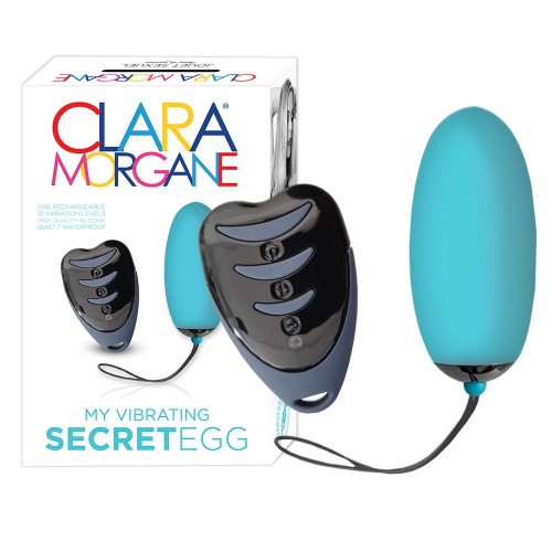 Secret-Egg-Blue-Wibrujące-jajeczko-do-pochwy-zdalnie-sterowane-pilotem-Posiada-wbudowany-wibrator-10-funkcjami-wibracji.jpg