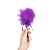 Piórko-do-zmysłowych-pieszczot-Mini-Purple-Feather-Tickler-Puszek-do-erotycznych-pieszczot-w-sypialni.jpg