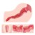 Masturbator-z-realistycznymi-wargami-i-punktem-G-ANGEL-2-WHITE-&amp;-ORIENTAL-pupcia.jpg