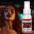 Perfumy-samochodowe-Car-Banquet-50-ml-Męski-trwały-zapach.jpg